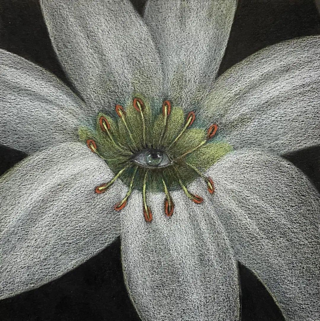 绘画记忆的诗人elizabethshull彩铅纹理处理大师