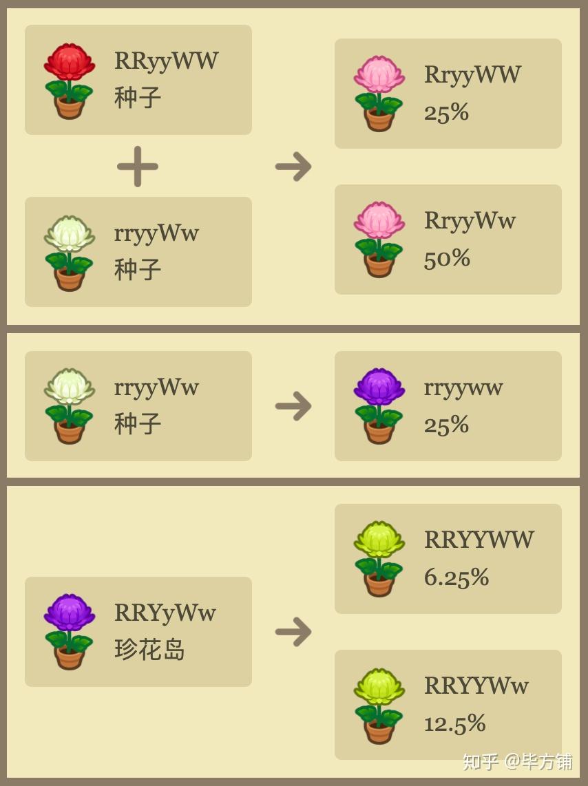 孟德尔遗传定律动物森友会硬核花卉杂交攻略