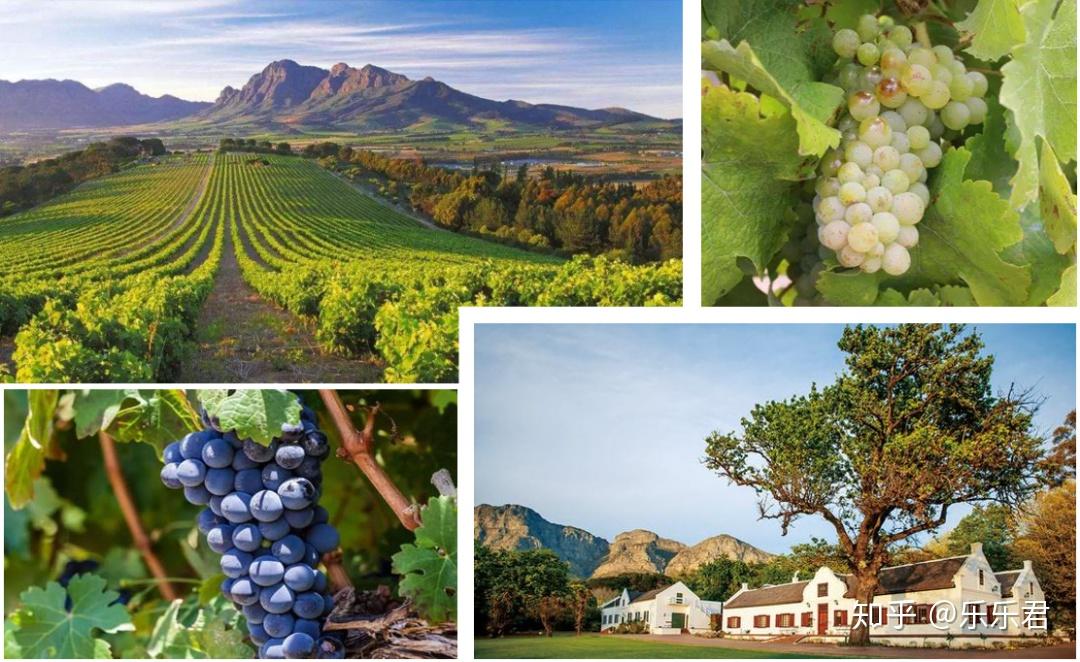 好望南非2020南非葡萄酒巡展正式启航