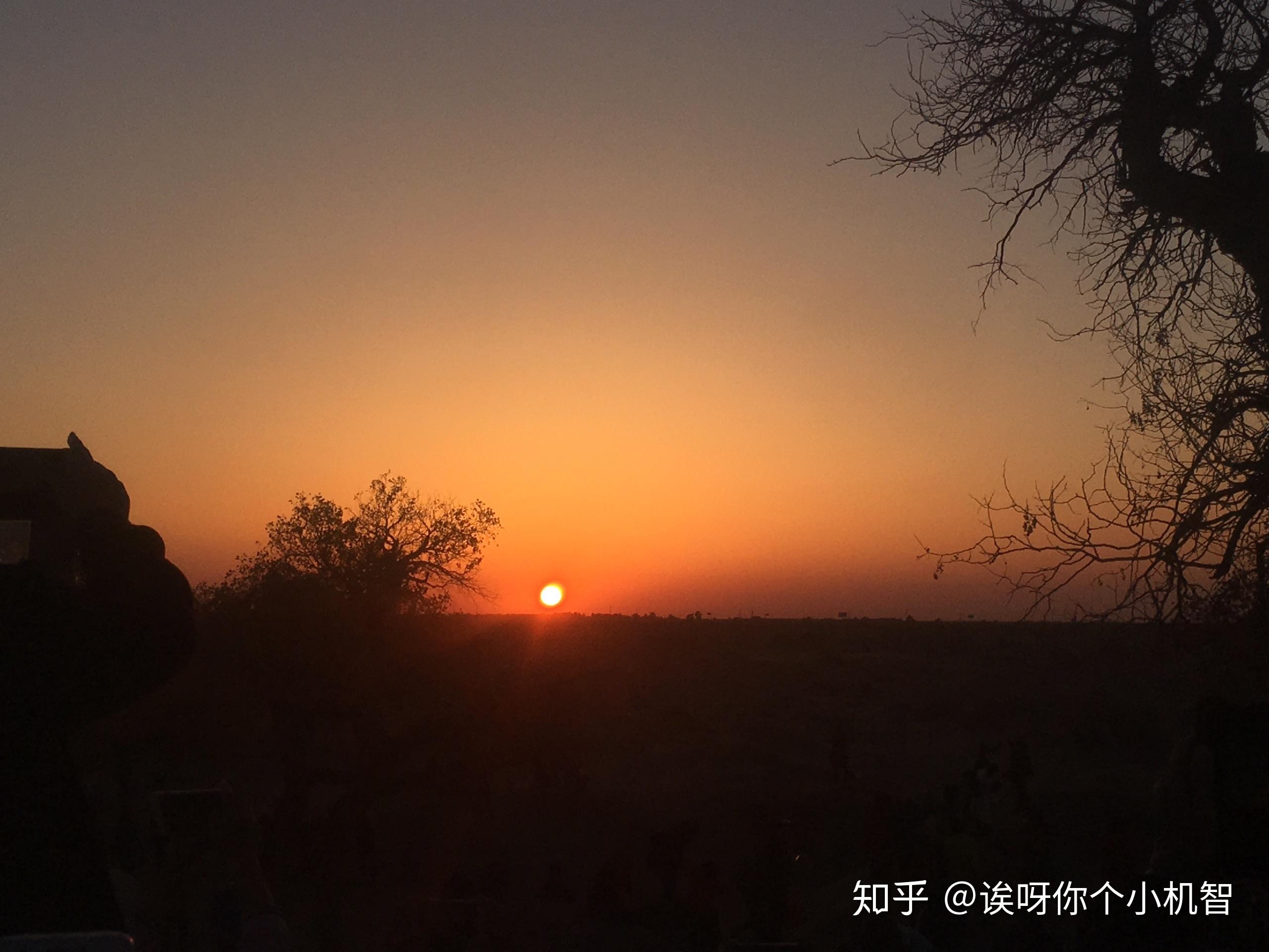 v2-df74ab9c2529a9f3b4fb3b0a46133bcf_r.jpg