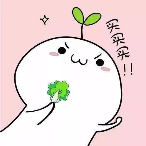 爆款打造没那么难智鹊网电商种草核心策略分享