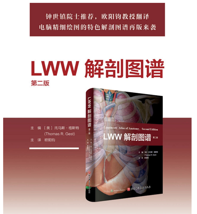 留言送书 I LWW解剖图谱(第2版) - 知乎