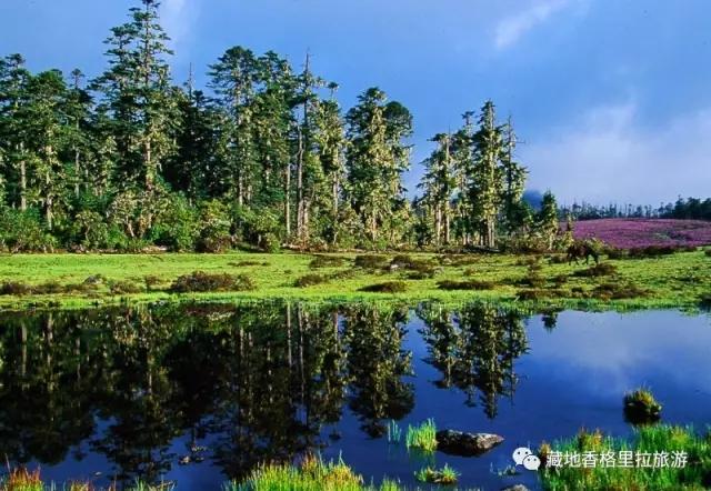 香格里拉10大必游景点“老司机”都去过,你走过几个?-香格里拉必看景点