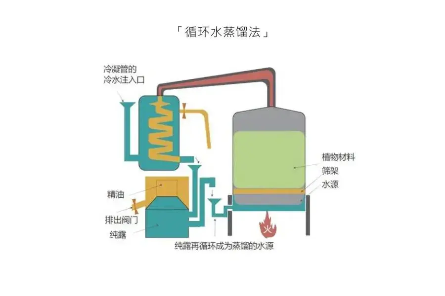 5分钟带你了解最简单的精油萃取方式