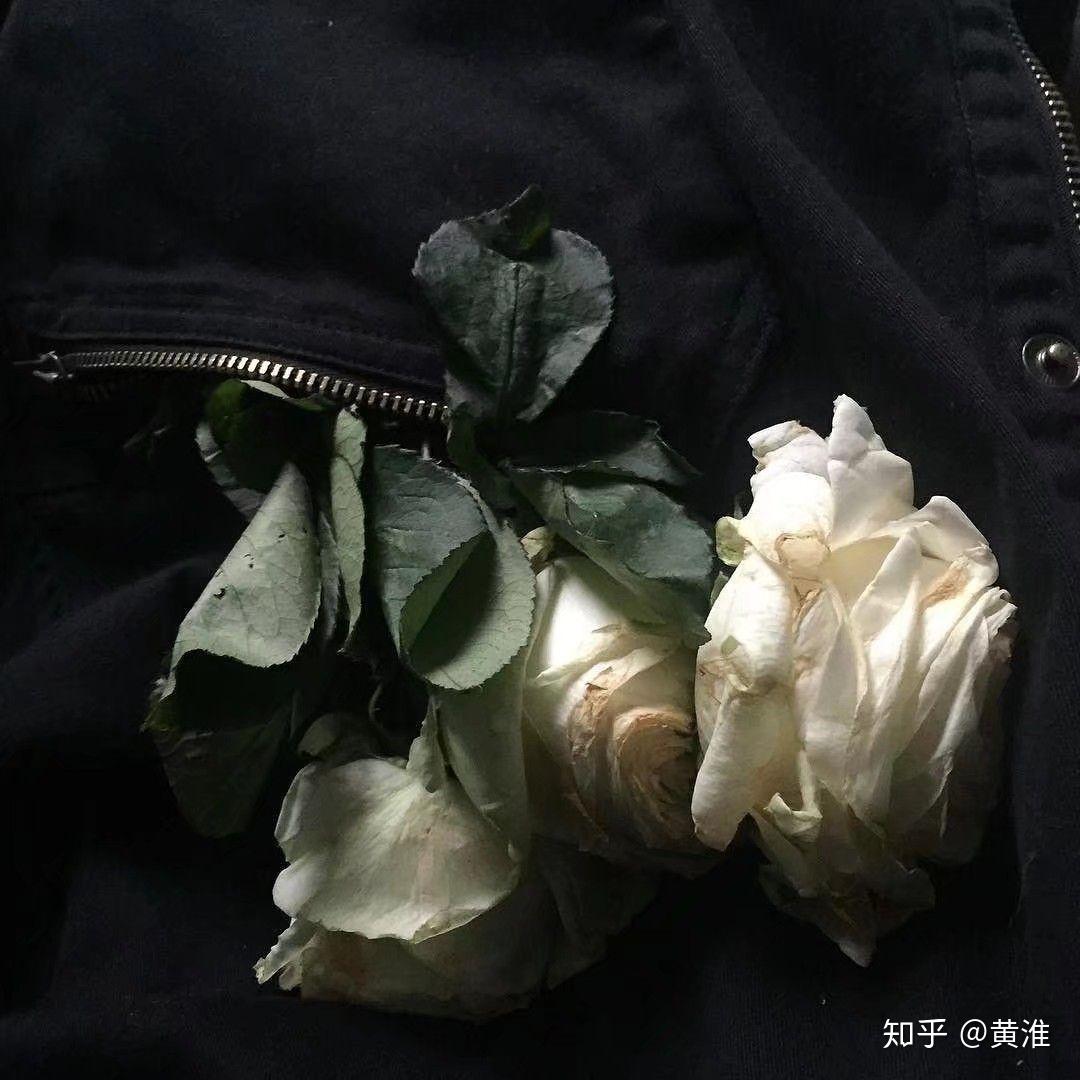 好看的花的图片头像 v2-dfa00c1b615f3ab7b906c9bcd33fb2e7_r.jpg