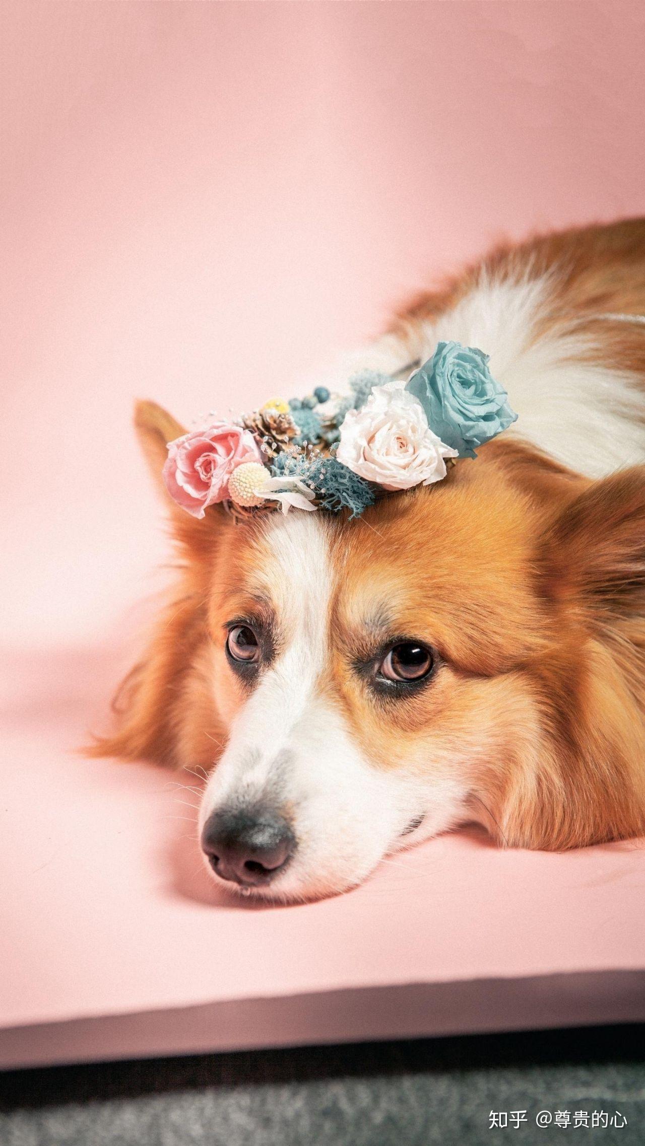 库玛拉20190923精神概念和堵塞