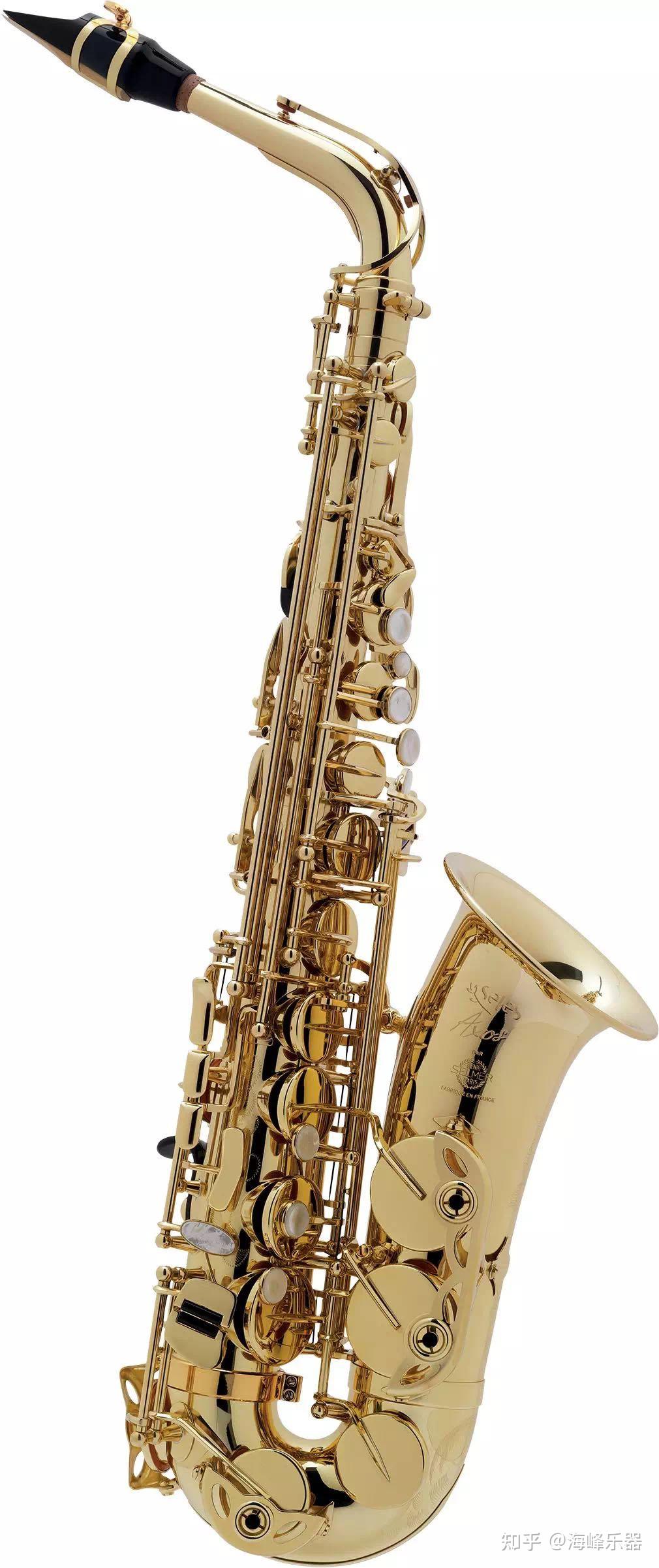 法国塞尔玛selmer亲民的axos序言