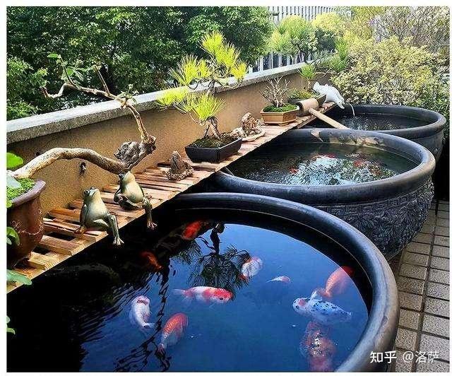古法养鱼靠谱吗？ - 知乎