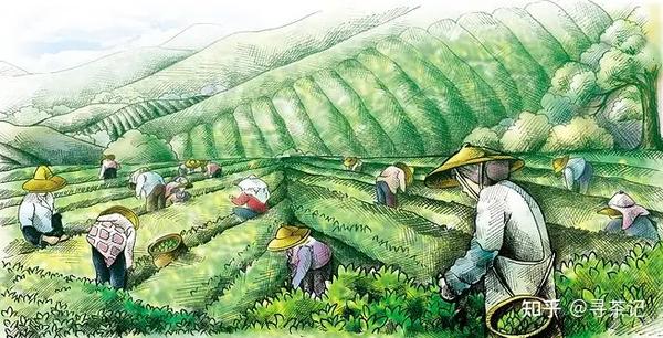 中国在古代的采茶都是什么季节,与现代是相同的吗