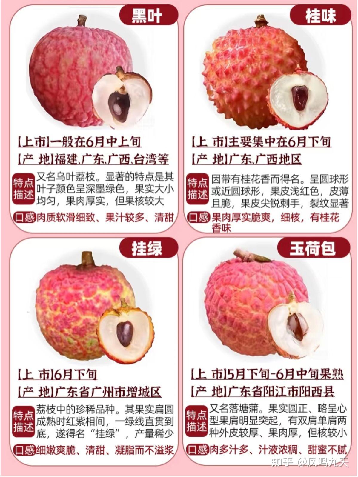 一分钟认识荔枝品种合集 - 知乎