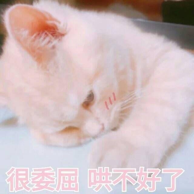 女生撒娇专用表情包,速速收藏! - 知乎