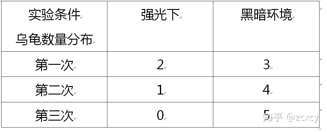小龟的健康生活记