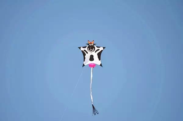 我跟你讲我看了场风筝打架比赛太好玩了