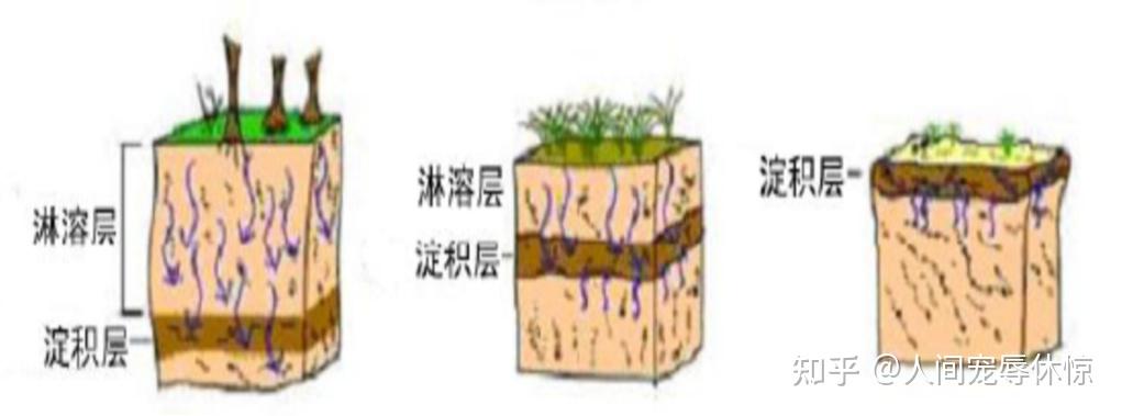 囧的呼唤117