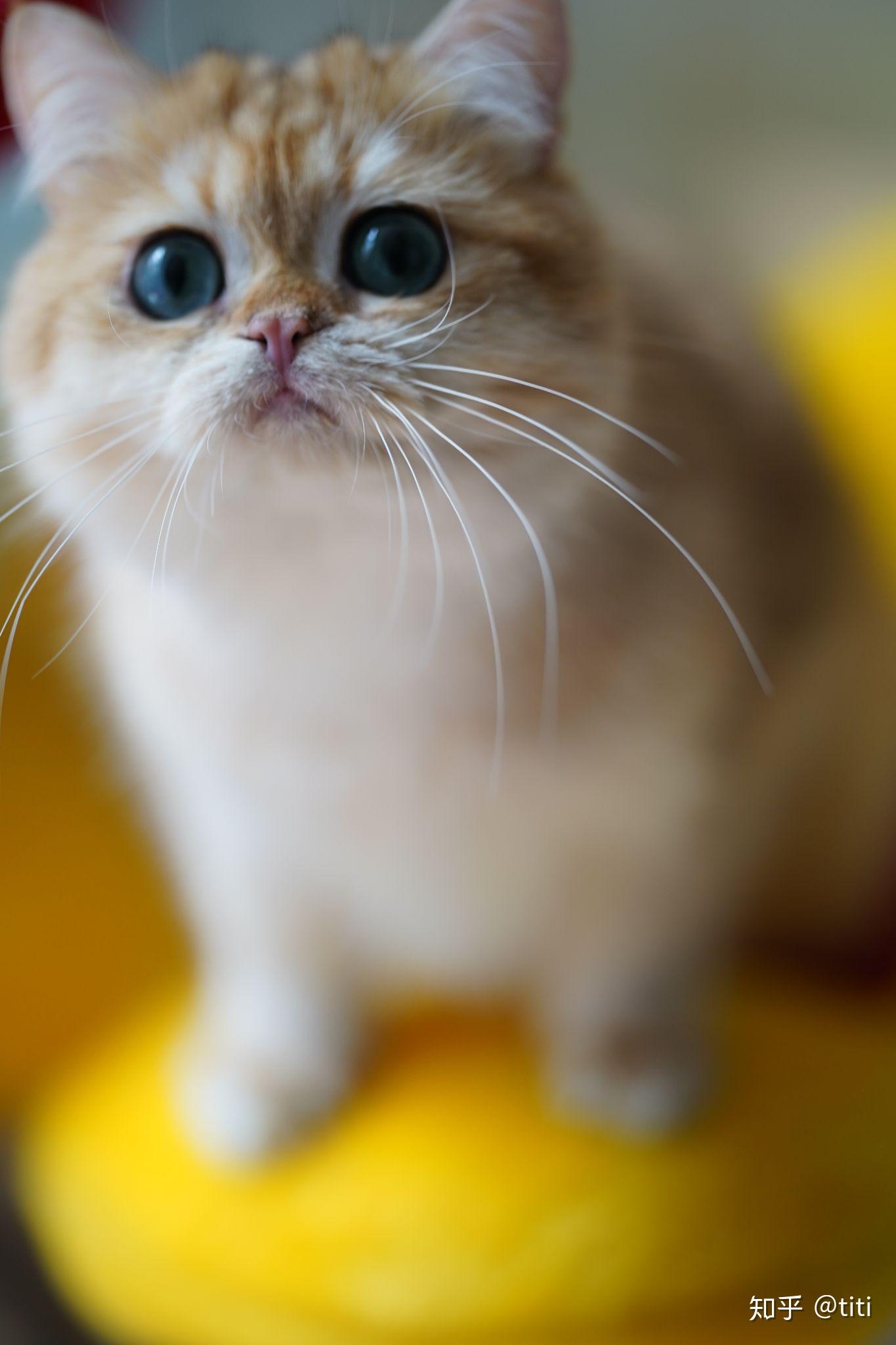v2-e02a6d4181bb10bc99914c2253d44c03_r.jpg