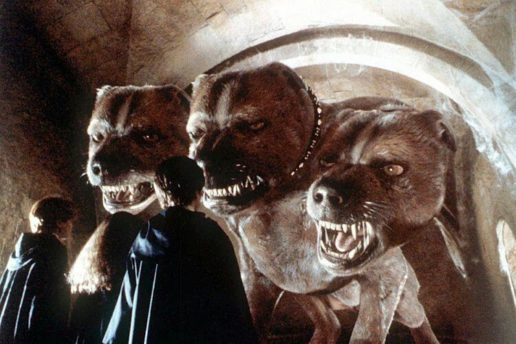 哈迷枕边书路威为什么来自一位希腊佬儿