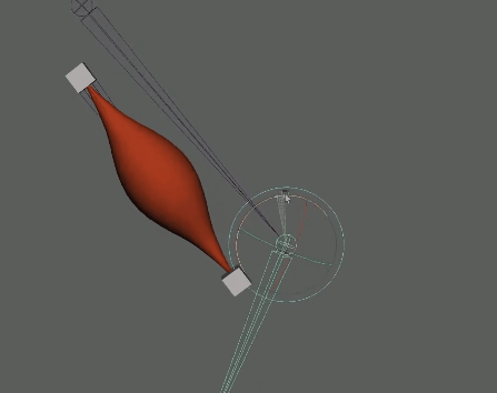 [2025] 肌肉模拟 Muscle Simulation - 知乎