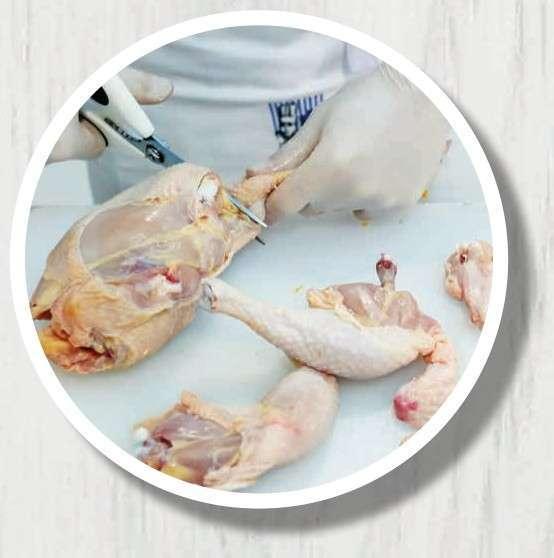 分割整鸡 - 西餐教科书 - 知乎书店