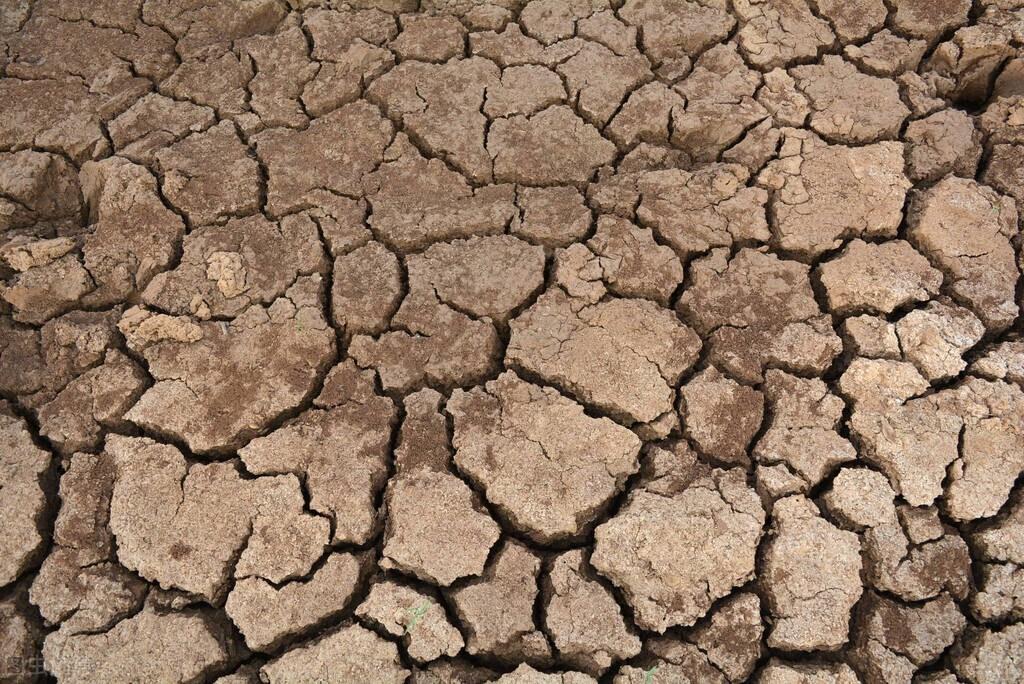 地区种植年限温室土壤盐分的变化 - 知乎