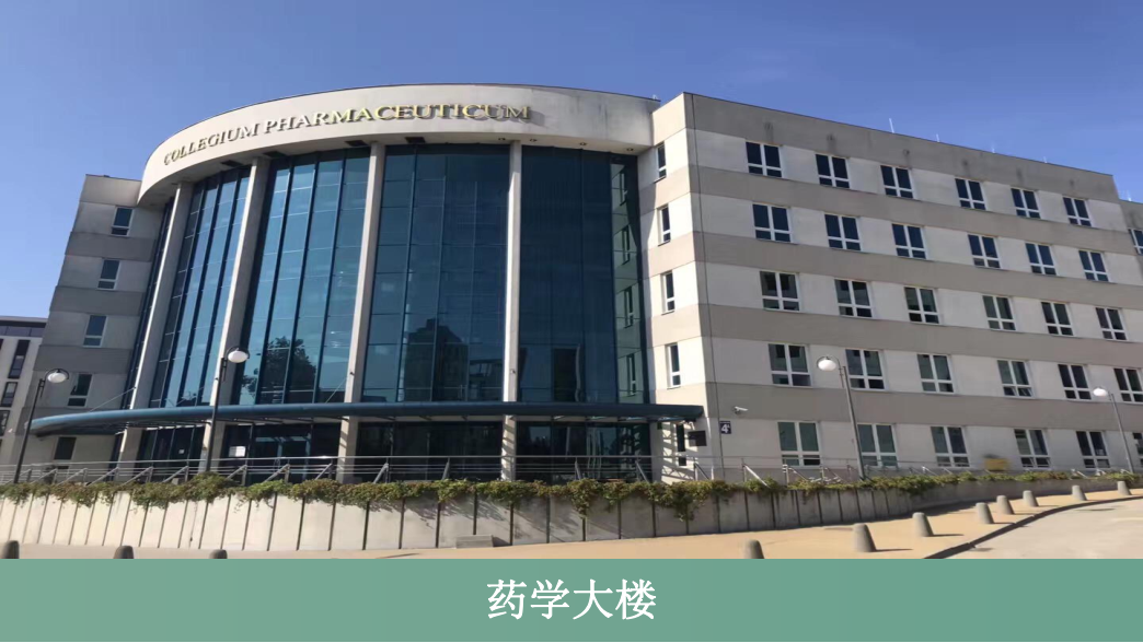 卢布林医科大学
