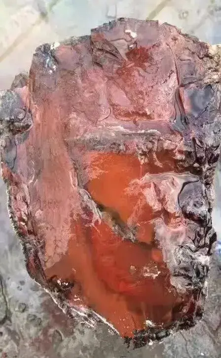 木化石,亿万年前的遗世孤品 - 知乎