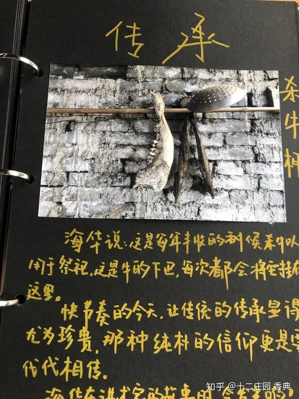 12庄园丨加入店长计划 体验7天民宿老板生活 知乎