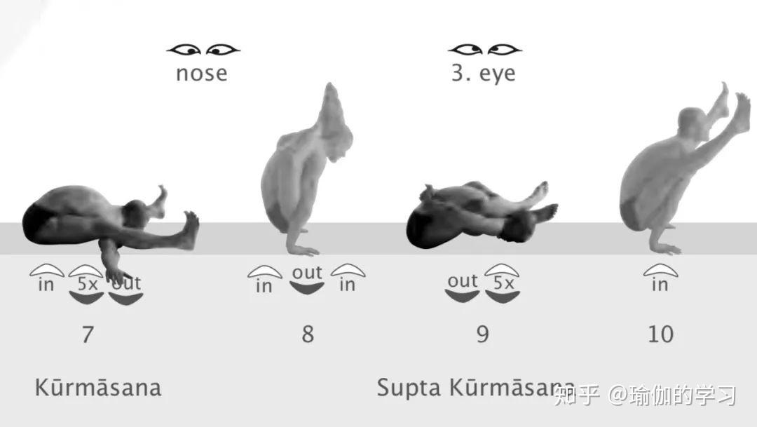阿汤卡点体式系列之龟式卧龟式