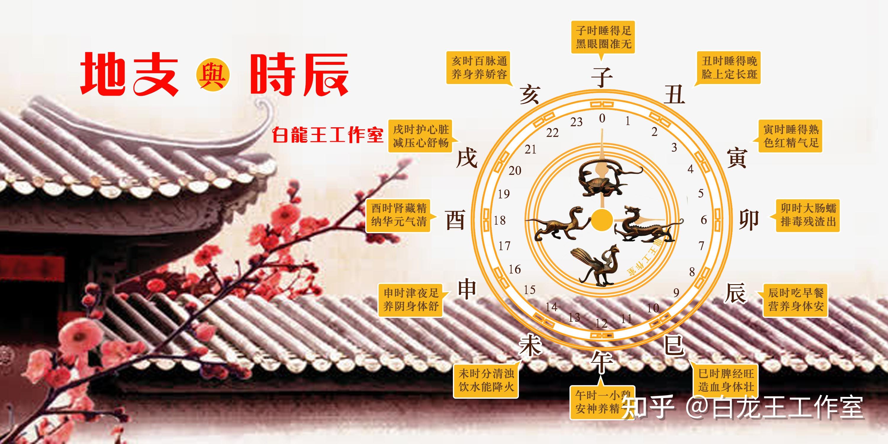 养生十二时辰表,健康一直守护着你! - 知乎