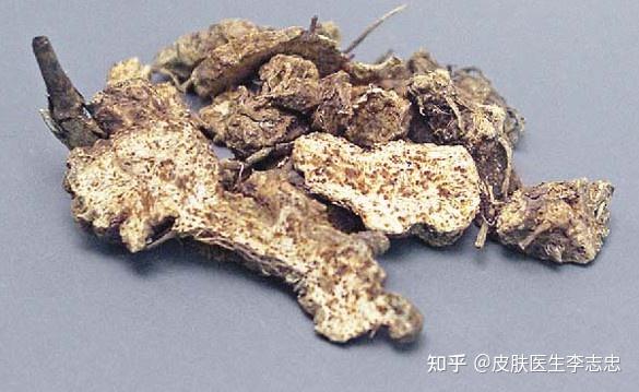 用藥簡單功效強大的二妙丸可治11種病