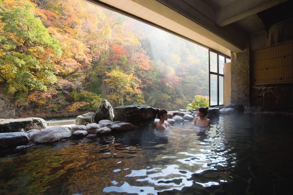 和式优雅日本温泉旅馆大推荐听说天冷了一起去那里的单身狗都抱团脱单