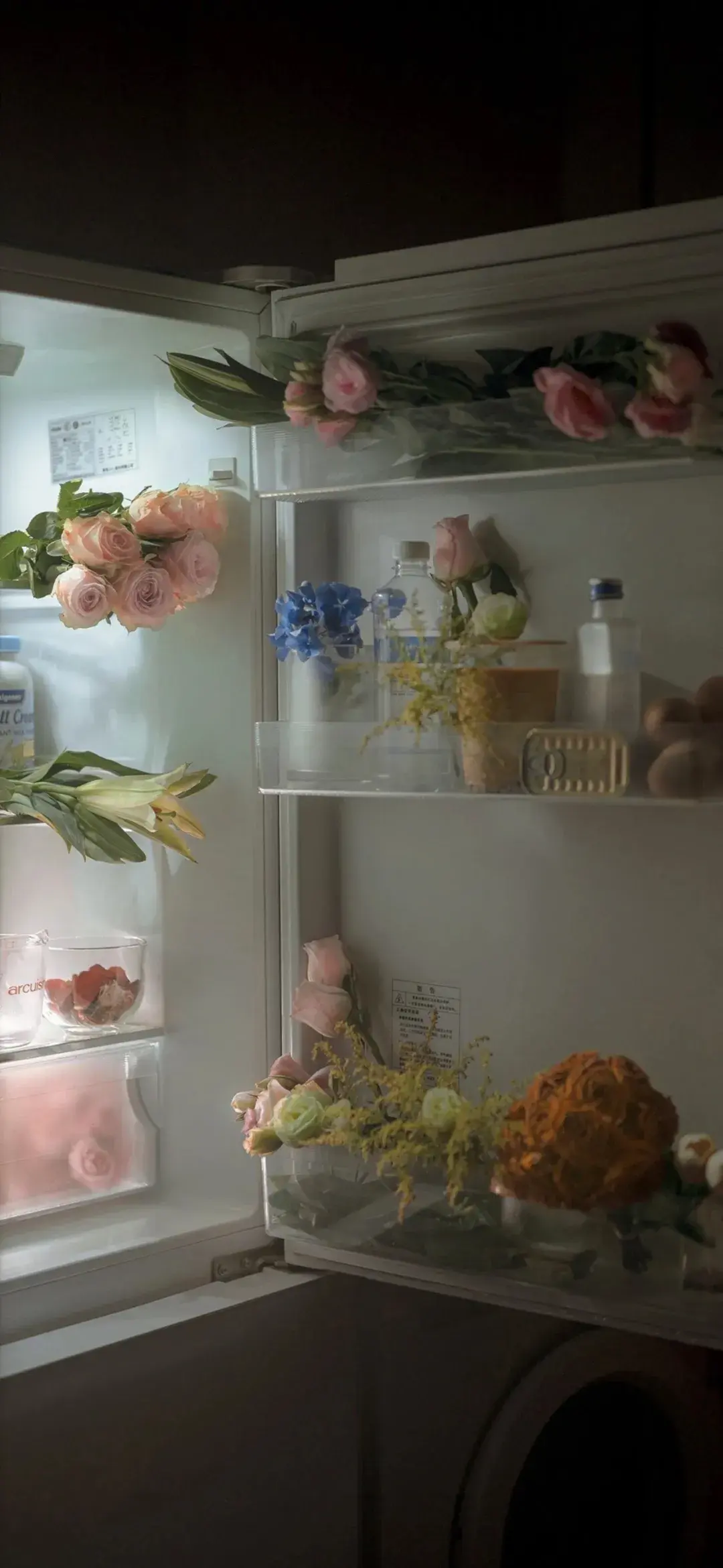 ins简约高清壁纸丨眼盛星河心向远方