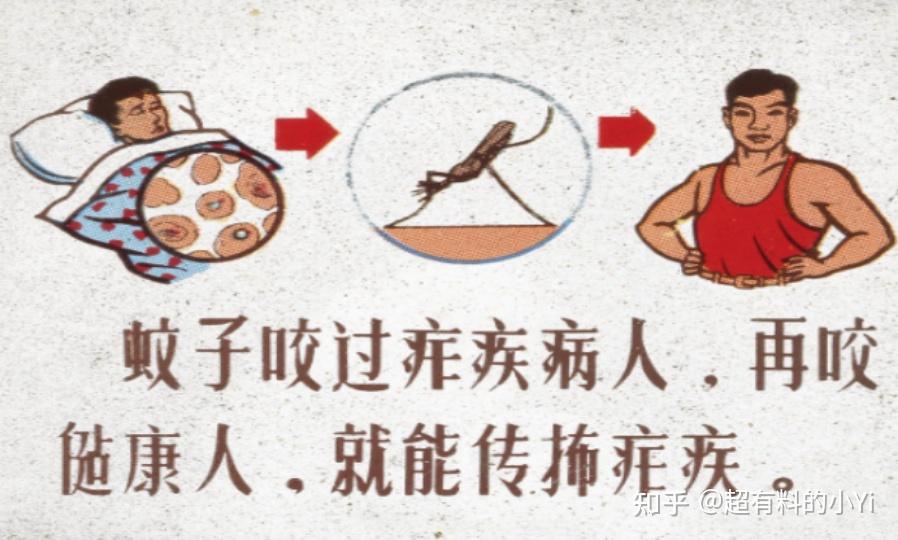江苏南通发现国外输入性疟疾病例 - 知乎