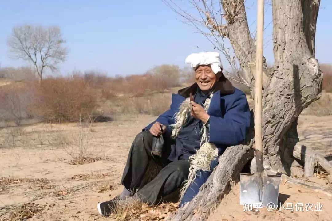 陕北人抗击沙漠风沙40年种出土豆年产1万斤让老外们佩服不已