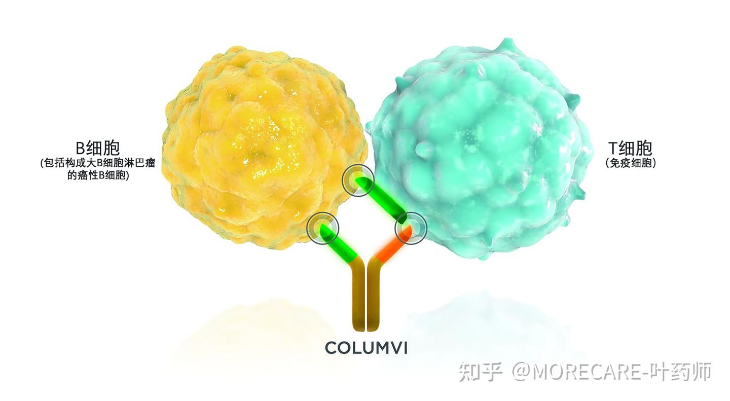 Columvi Image 一文了解淋巴瘤双特异性抗体疗法Columvi,解答患者常见疑问 - 知乎