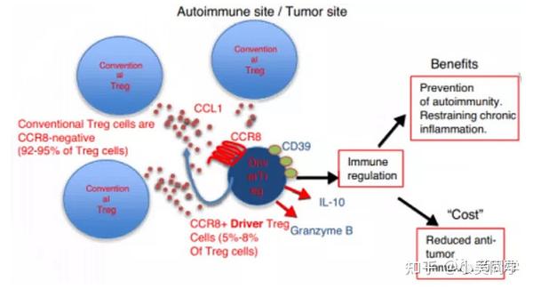国内首款丨礼新医药ccr8单抗获批临床，ccr8靶点梳理 知乎