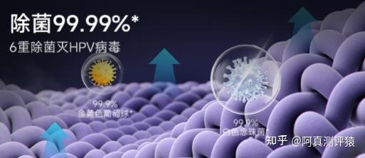 5台款热门内裤洗衣机哪个最值得买 内含觉飞 小吉 美的 dailyneaty 大宇测评