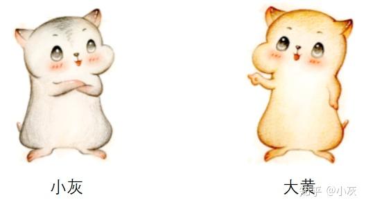 什么是 马太效应 知乎