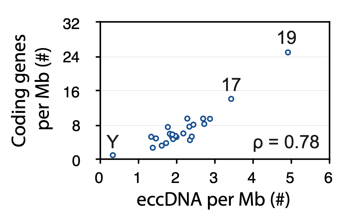 先收藏：2022年 eccDNA 研究现况汇总 - 知乎