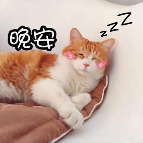 晚安表情包(无水印六) - 知乎