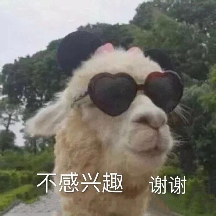 鸡血文案沙雕,鸡血文案沙雕句子