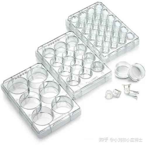 0119---鸭大博士教你如何细胞铺板更均匀 - 知乎