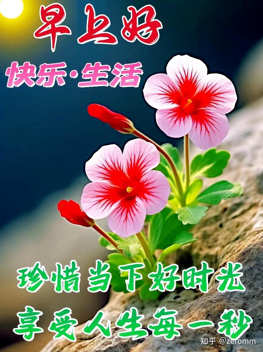创意唯美早上好问候祝福动态鲜花图片早上好表情图片- 知乎