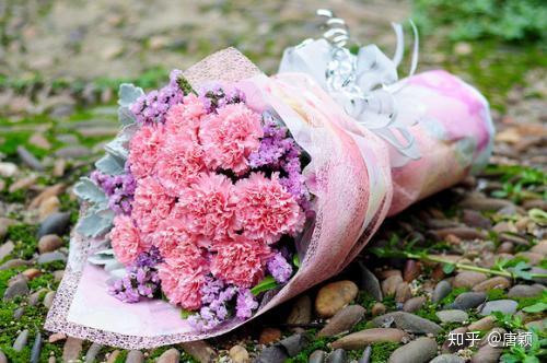 平常而不平凡的康乃馨,你都了解多少?