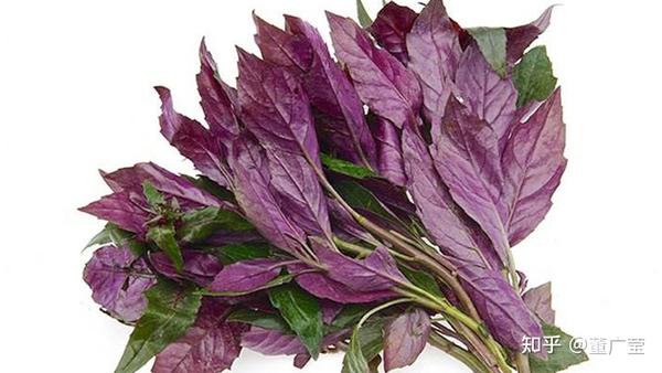 还不知道这35种紫色蔬菜你太亏了 富含花青素 营养又美味 赶紧选几种趁着过年大显身手吧 过个健康年 知乎