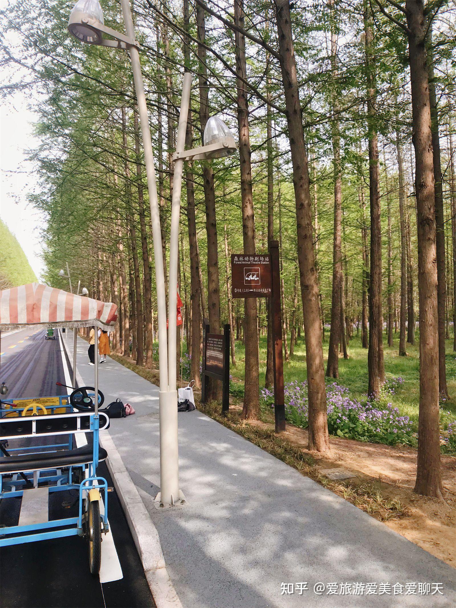 一份干货满满的日照旅游攻略已生成!山东日照必去的地方 - 知乎