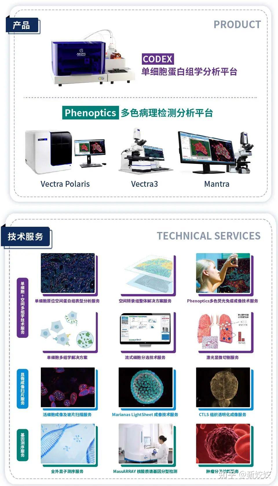 關於雲準about us雲準醫藥科技(上海)有限公司(以下簡稱:雲準)英文名