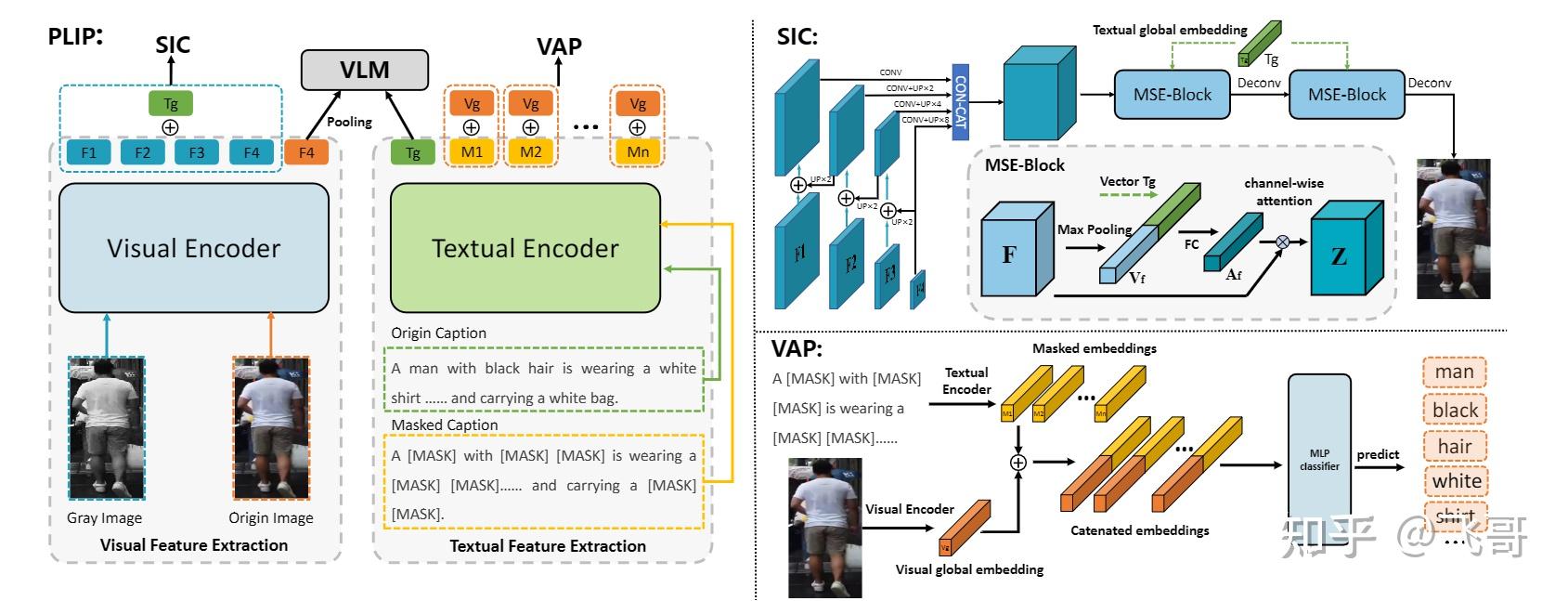 PLIP: Language-Image Pre-training for Person Representation Learning - 知乎