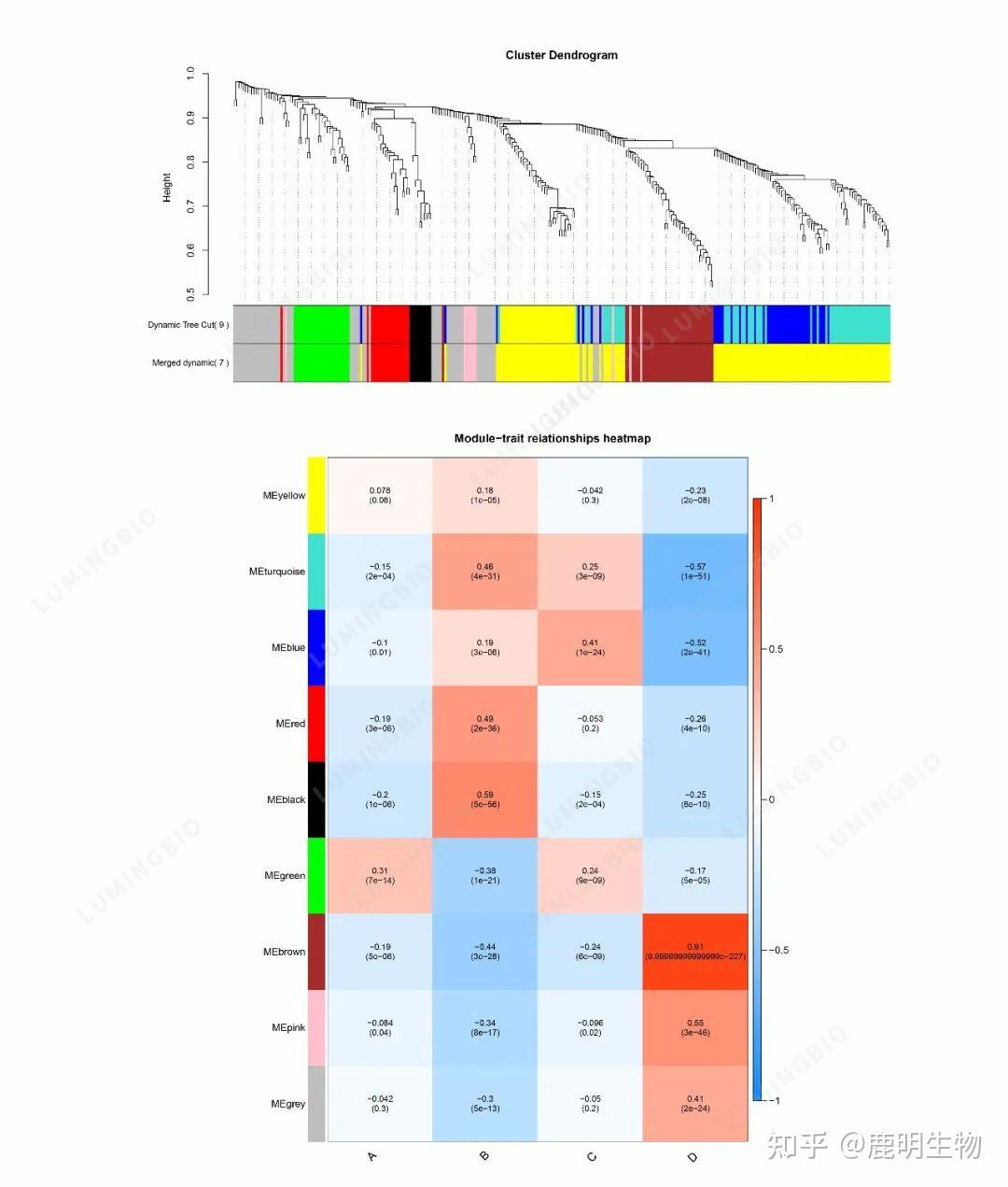 空间代谢组分析内容解析（数据挖掘必看） - 知乎
