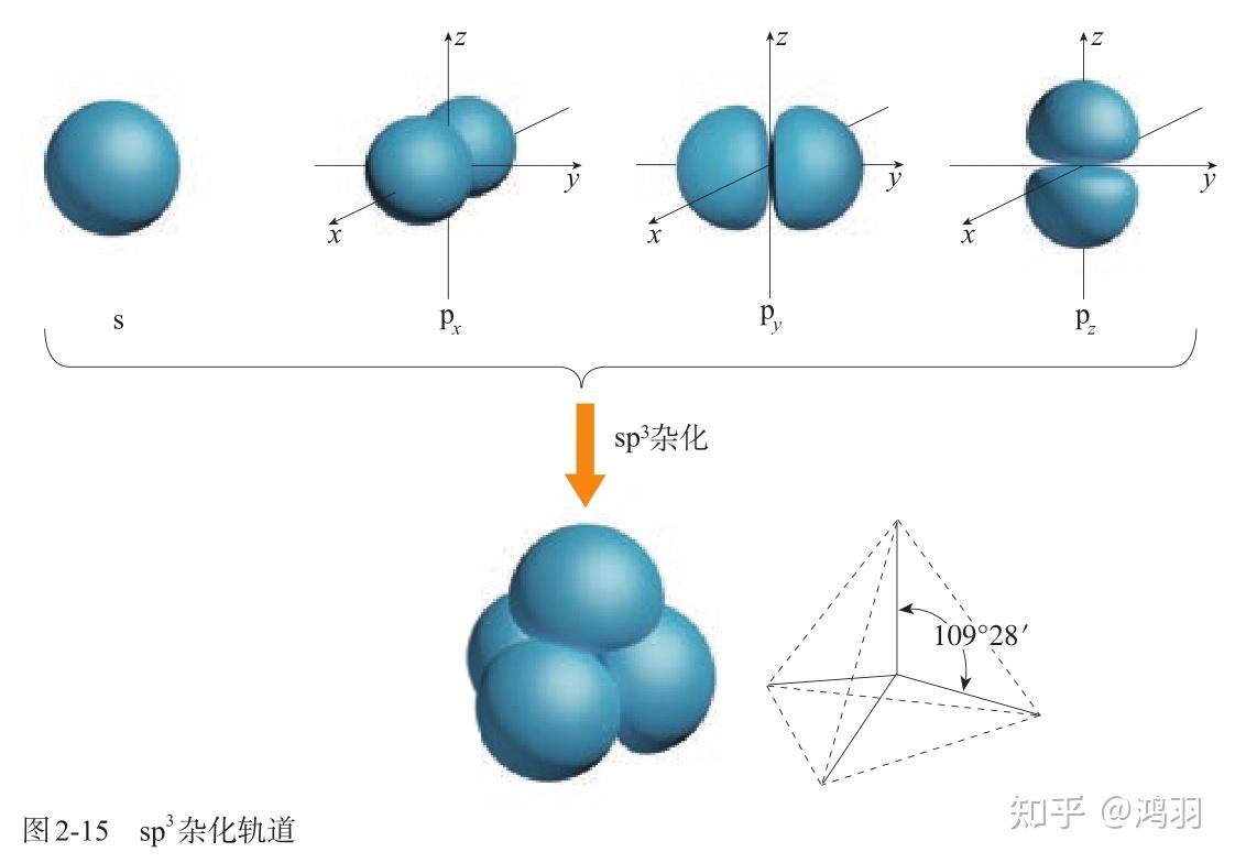 选择性必修2 第二章 第二节 分子的空间结构 - 知乎