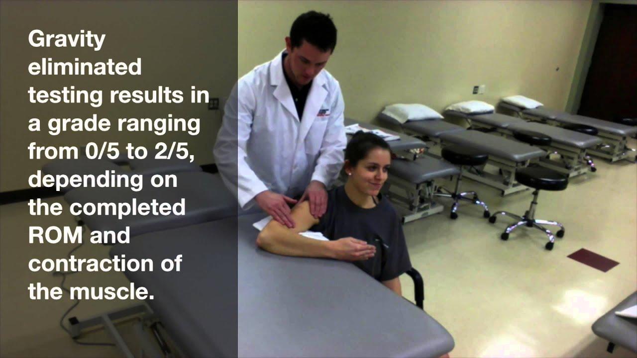 【康复手法】前臂肌肉徒手肌力检查 - 知乎